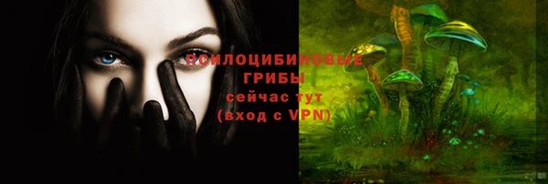 шишки Армянск