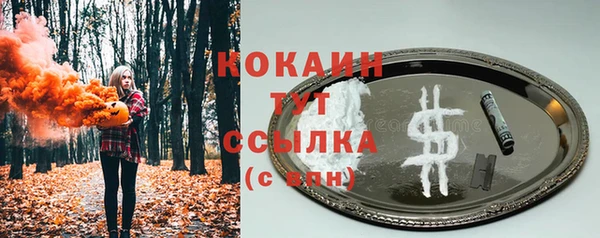 шишки Армянск
