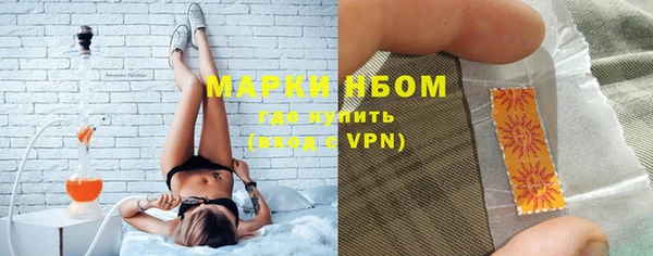 шишки Армянск