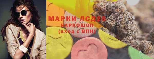 шишки Армянск